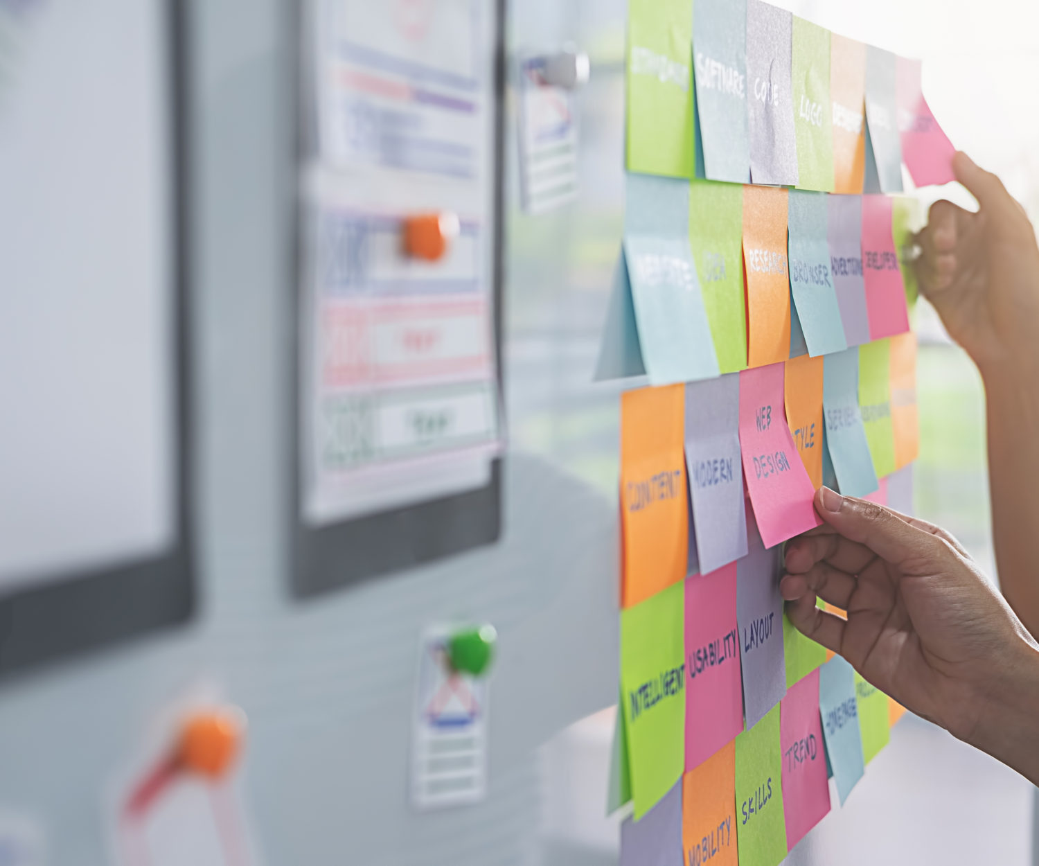 understanding demographics and empathy for your business, Design5sixty4, graphic design, colorado springs, albuquerque, santa fe, pueblo, colorado, new mexico