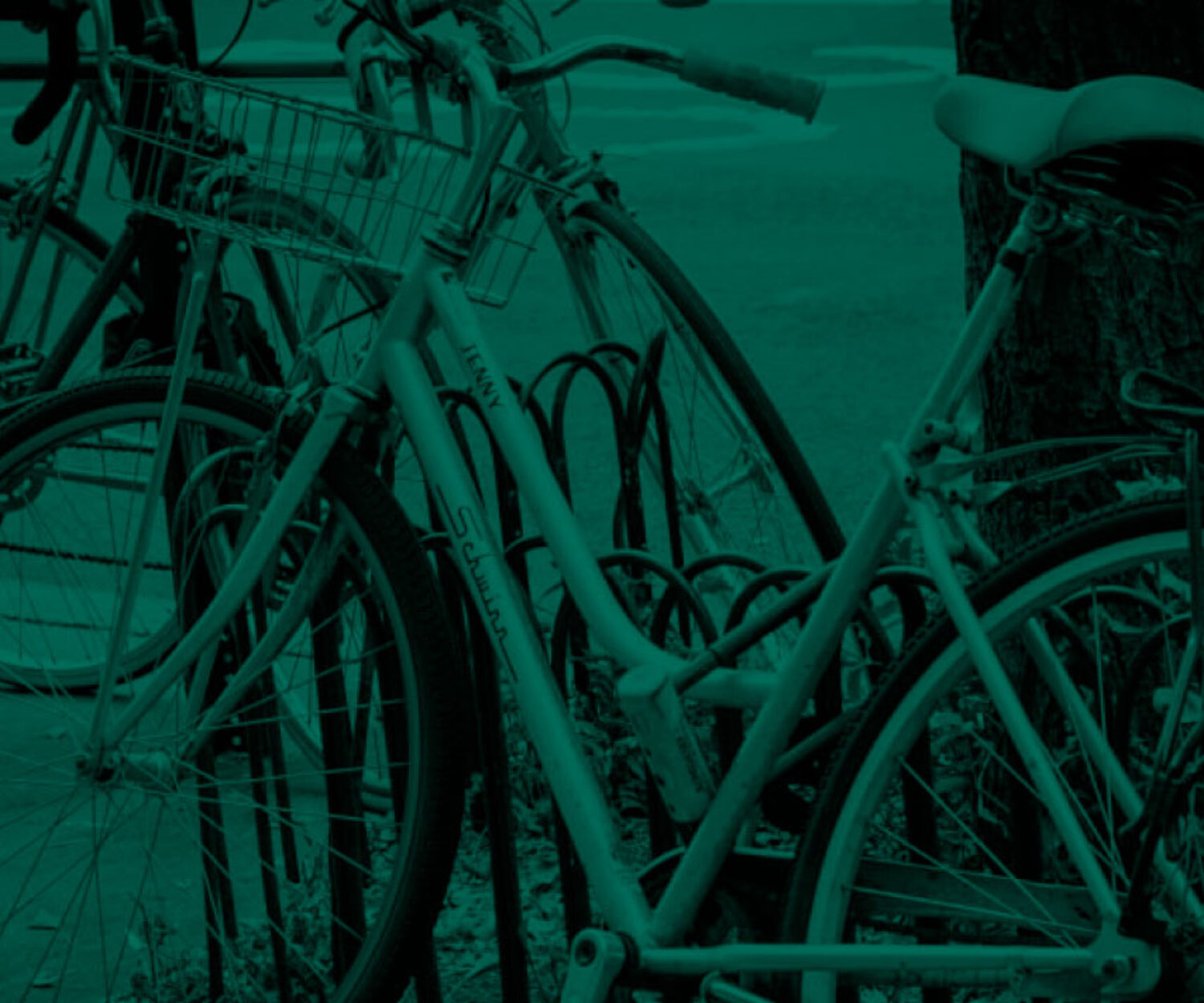 gratitude, Design5sixty4, graphic design, colorado springs, albuquerque, santa fe, pueblo, colorado, new mexico