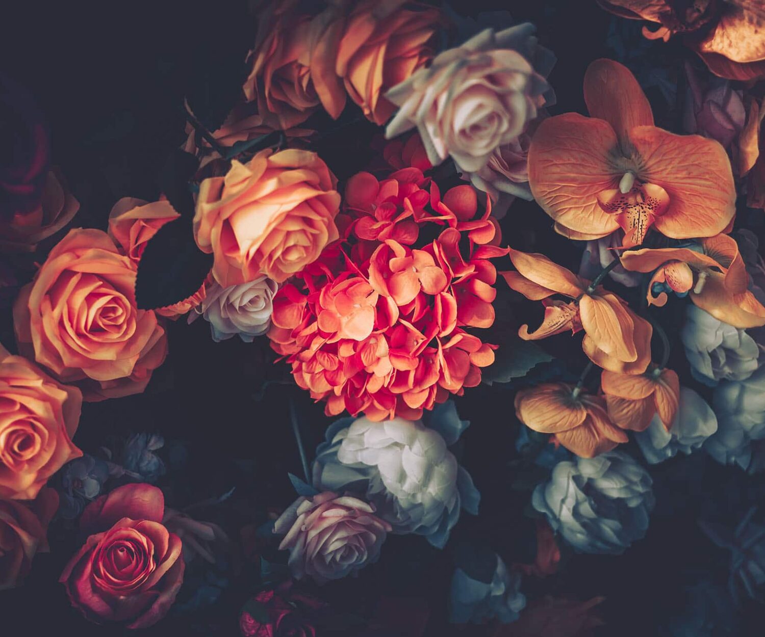 international women's day, Design5sixty4, graphic design, colorado springs, albuquerque, santa fe, pueblo, colorado, new mexico