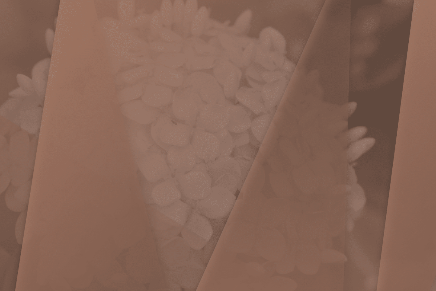 Design5sixty4, graphic design, colorado springs, albuquerque, santa fe, pueblo, colorado, new mexico