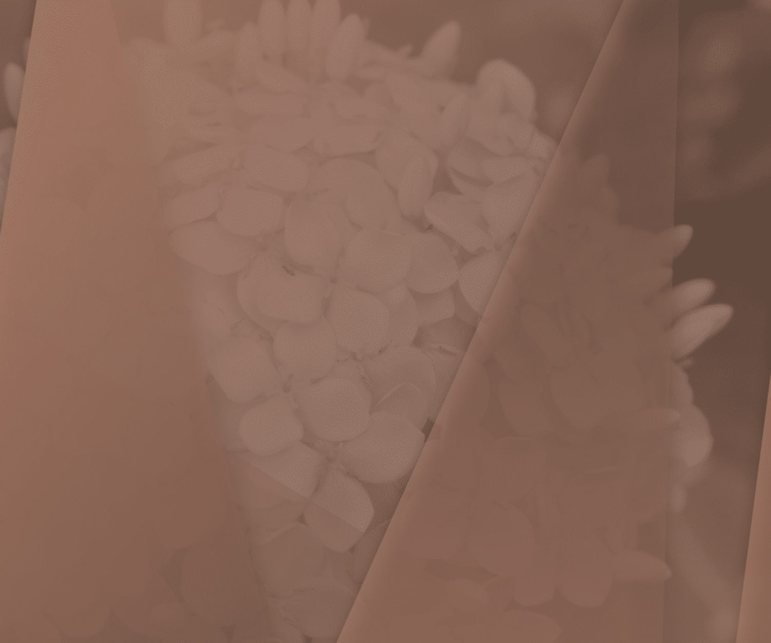 Design5sixty4, graphic design, colorado springs, albuquerque, santa fe, pueblo, colorado, new mexico